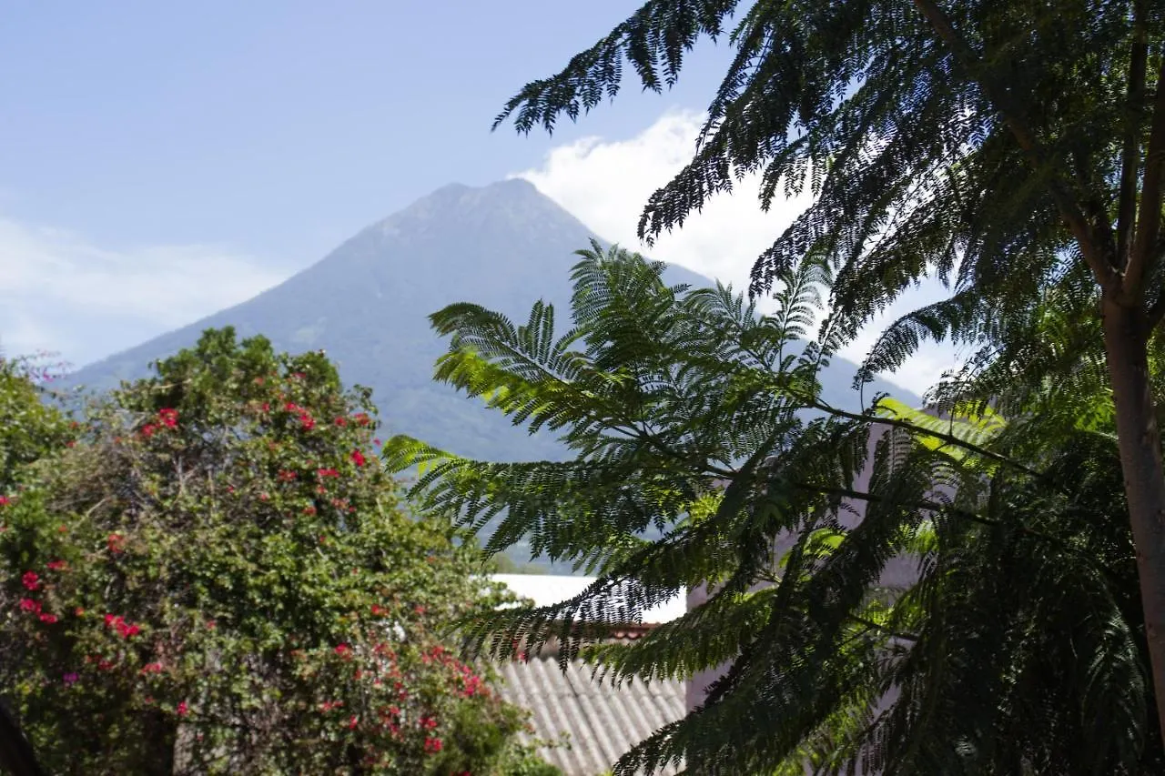 Casa Quetzalli Centro Historico Antigua Guatemala